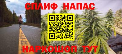 прущие крисы Нальчик