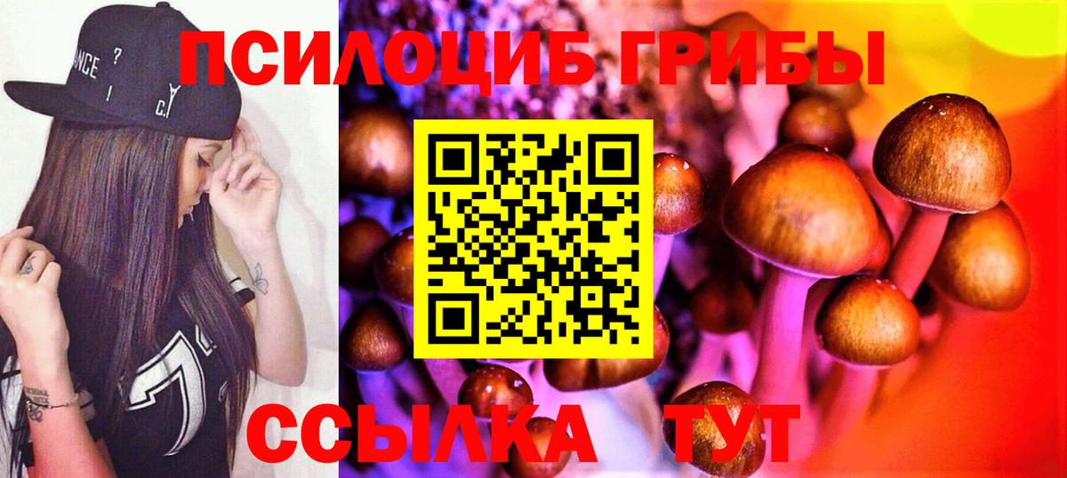 Псилоцибиновые грибы Psilocybine cubensis  Черняховск 