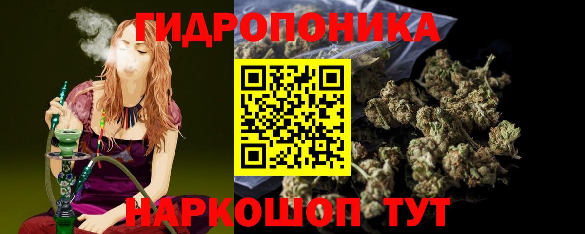 МАРИХУАНА планчик Черняховск